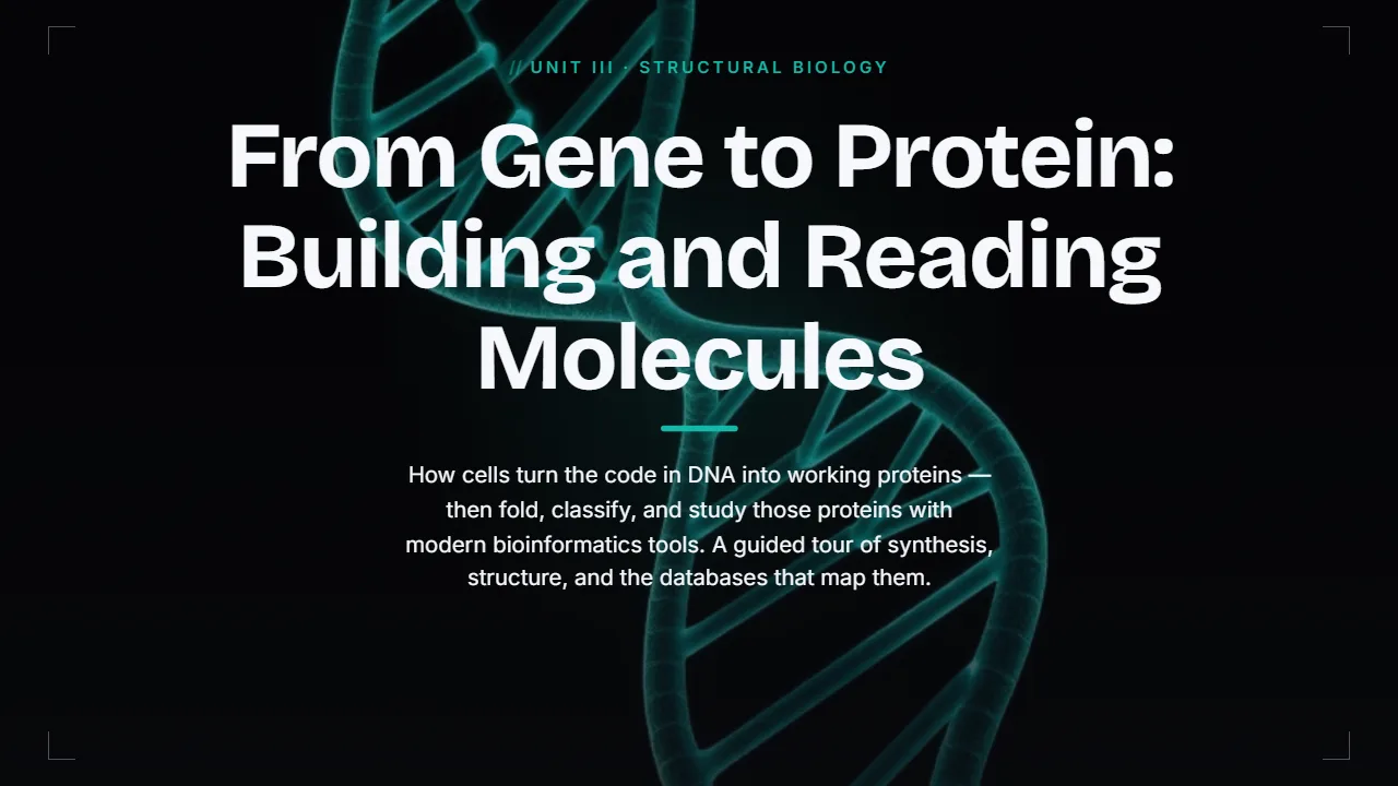 Protein Synthesis & Structure — slide 1 of 19, Paper theme